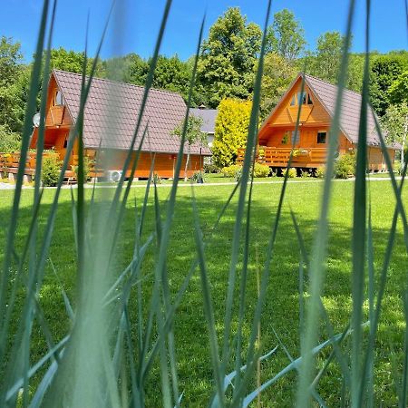 Domki u Oli Kudowa-Zdrój Zewnętrze zdjęcie