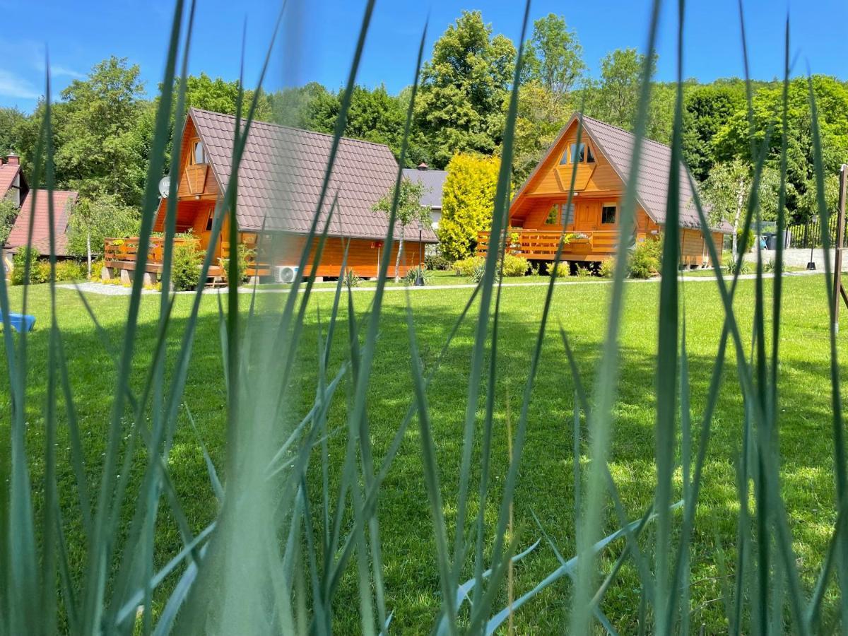 Domki u Oli Kudowa-Zdrój Zewnętrze zdjęcie